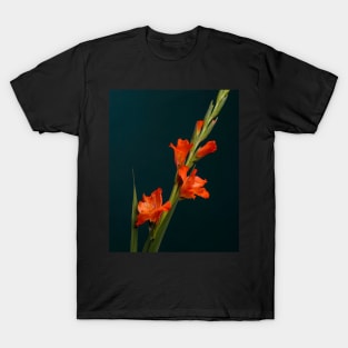 Orange Gladiolus T-Shirt